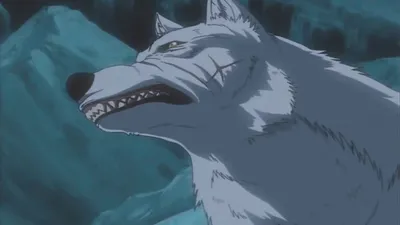 6 аниме, в которых фигурируют волки | AniDia | Дзен