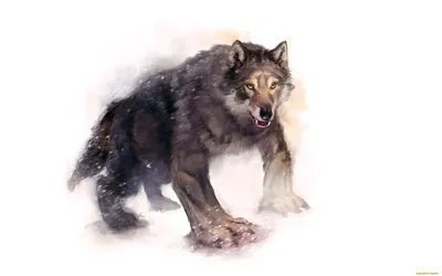 Кадры из фильма: Волки – оборотни