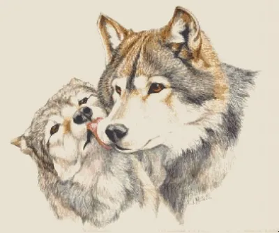 Картина на холсте \"Волчья любовь\"