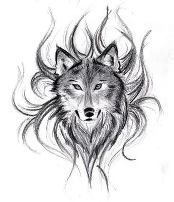 Рисунки волка для срисовки (60 фото)