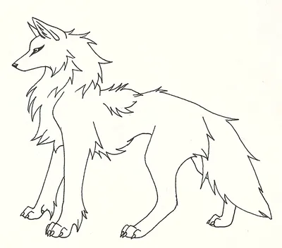 Картинки волка для срисовки карандашом аниме (27 шт)