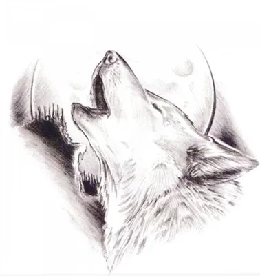 Картинки для срисовки волк и луна (64 фото) » Картинки и статусы про  окружающий мир вокруг