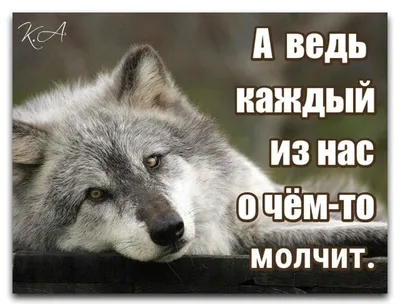 Волков с надписью