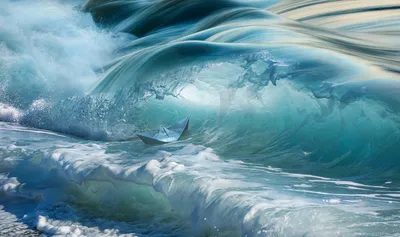 Японская волна Японские большие волны, свирепствуя океан и винтажная  иллюстрация вектора морской воды Иллюстрация вектора - иллюстрации  насчитывающей япония, нарисовано: 145534262