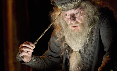 Брелоки Гарри Поттер металлические Волшебные палочки 2 штуки | Купить  настольную игру в магазинах Мосигра