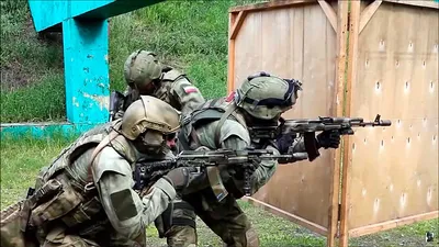 Вооруженные силы Российской Федерации ( ВС РФ )