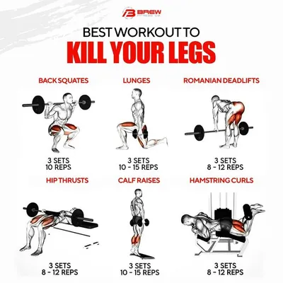 BEST WORKOUT FOR LEGS! | Best leg workout, Leg workout routine, Barbell  workout