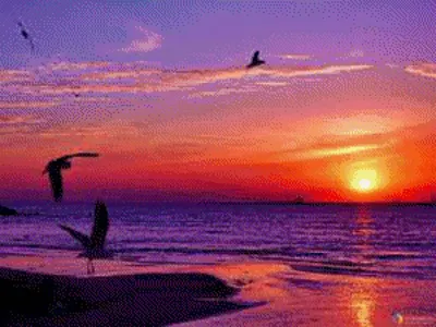 Восход солнца над морем и красивым пляжем фиолетового цвета | Премиум Фото