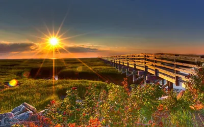 Восход солнца - рассвет, заход солнца, небо, гора, рассвет Стоковое Фото -  изображение насчитывающей утро, форрест: 115894484