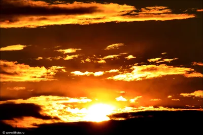 Восход солнца летом (68 фото) - 68 фото