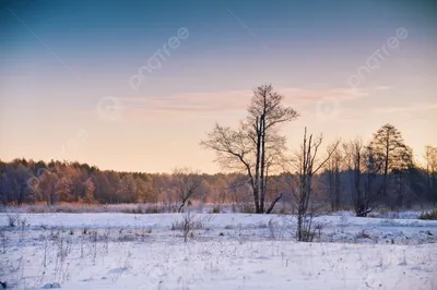 Яркий восход солнца зимы Зимний пейзаж природы с красочным желтым и  красным. Снежная красивая природа Стоковое Фото - изображение насчитывающей  небо, рождество: 167016636