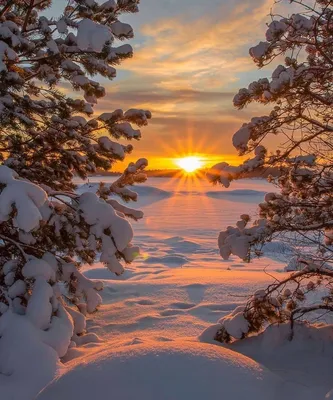 Восход солнца над Невой — Фото №1352265