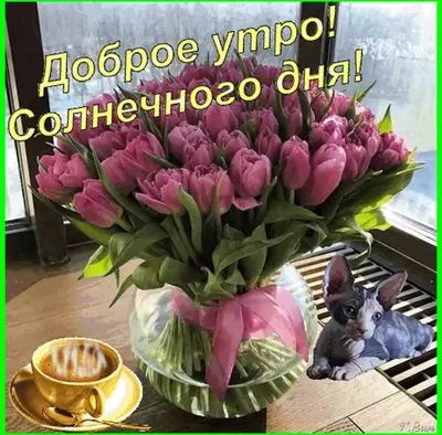 Солнечные цветки весны, отправляют СМС счастливая пасха воскресенье  Стоковое Фото - изображение насчитывающей крокус, чистка: 109815438