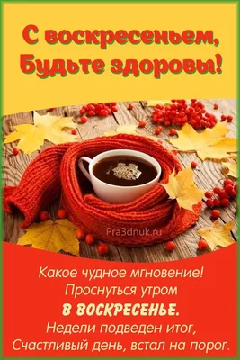 Добро воскресенье - Праздники сегодня | Воскресенье, Цитаты для поднятия  настроения, Утро воскресенья