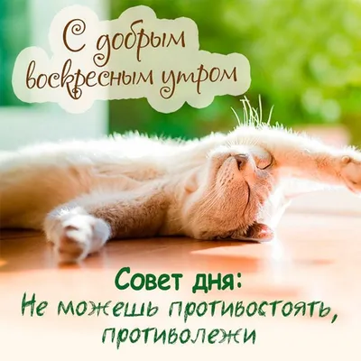 rukzak.in.ua - Доброе воскресное утро, друзья! | Facebook
