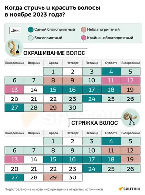 Календарь карманный OfficeSpace Символ года Восточный гороскоп 2024  (355613) — купить в Москве, цены в интернет-магазине «Экспресс Офис»