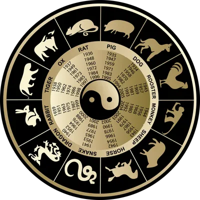 Китайский календарь | Пикабу