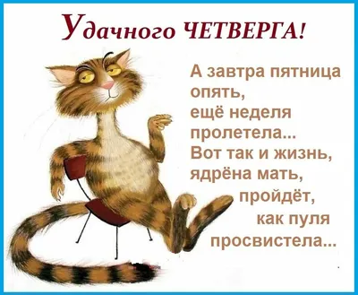 А какой котик сегодня ты? 🐈 Листай галерею 👉🏼 ⠀ • @testarossa.spb –  находимся на Жуковского, 14 • С понедельника по четверг ждём тебя с… |  Instagram