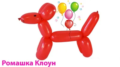 Скачать звук воздушного шарика | Balloons, Latex balloons, Birthday clips