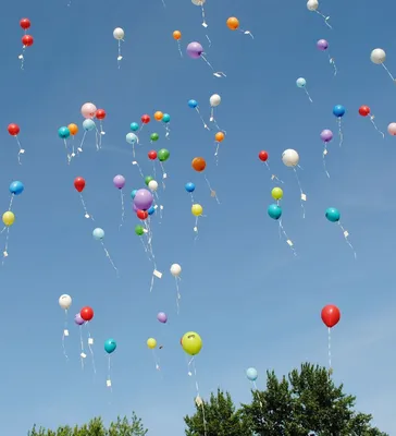 Купить воздушные шары «Светящиеся» с доставкой по Екатеринбургу -  интернет-магазин «Funburg.ru»
