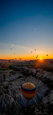 красивый воздушный шар с цветами мариголда Стоковое Изображение -  изображение насчитывающей место, сад: 263819593