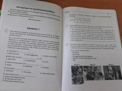 ВПР 7 класс Английский язык | EngGuide