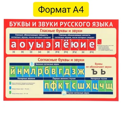 Плакат настенный обучающий в школу алфавит русский язык А2 - купить с  доставкой по выгодным ценам в интернет-магазине OZON (190376957)