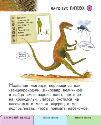 rgdb.ru - Лекция «Все ли динозавры вымерли?»