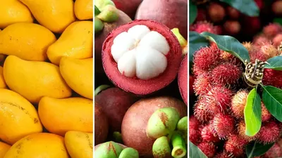 Самые необычные фрукты и овощи мира | Истории от Виктории | Дзен