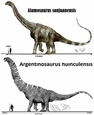 Динозавры для детей — интересные факты о динозаврах