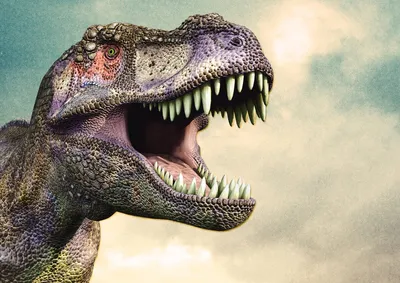 Увидеть динозавров в Испании. Испания по-русски - все о жизни в Испании