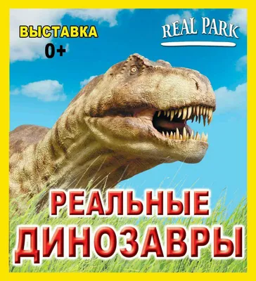 Купить Энциклопедия для детей \"Всё о динозаврах\", 128 стр. в  интернет-магазине Мир динозавров