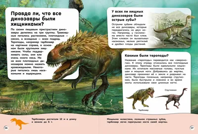 В музее изобразительных искусств готовится к открытию выставка про  динозавров | Официальный сайт органов местного самоуправления г.  Комсомольска-на-Амуре