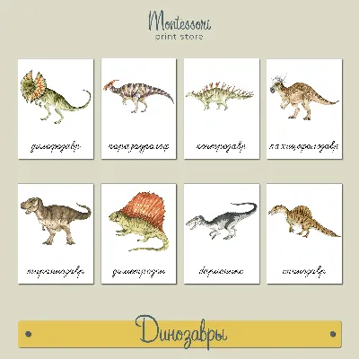 Открой тайны динозавров – FirstStories