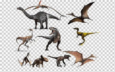 Игрушки-динозавры для детей 3-5 + (16,26 пластиковых фигурок динозавров),  подарочный набор | AliExpress