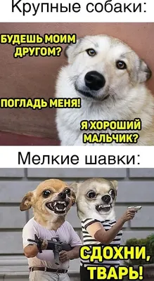 Наша Психология - #анекдот #психотерапия #юмор #шутки... | Facebook