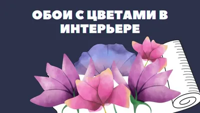 Что означает цвет роз: белые, желтые, розовые, оранжевые — и их количество  в букете