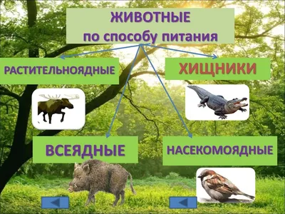 Растительноядное животное рисунок (48 фото) » рисунки для срисовки на  Газ-квас.ком