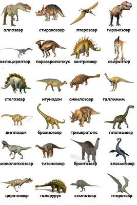 Всех видов динозавров