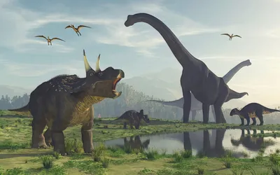 Ученые обнаружили самые первые виды динозавров - они жили 214 миллионов лет  назад - KP.RU
