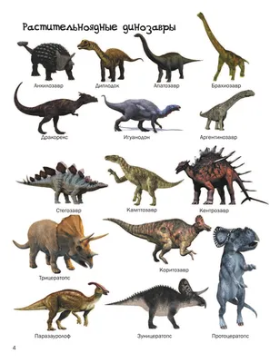 Динозавры | Вымершие животные вики | Fandom