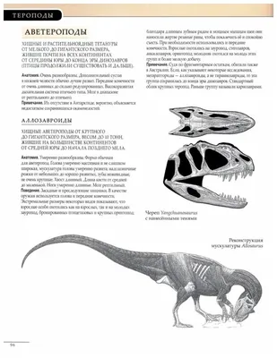 Конструктор SY1500 SY Мир динозавров: 8 разных динозавров купить за 0₽ со  скидкой в интернет-магазине BOOTLEGBRICKS.RU