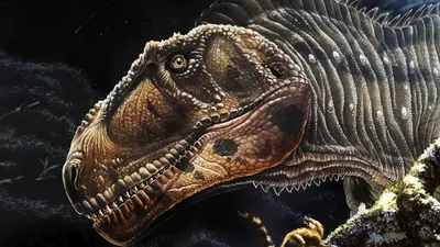 10 Самых необычных динозавров - YouTube