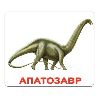 11 различных видов динозавров | 23Group | Дзен