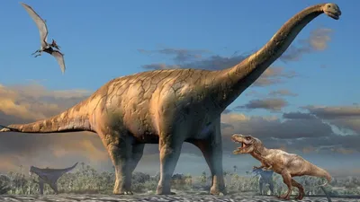Мемо Мир динозавров | Купить настольную игру в магазинах Мосигра