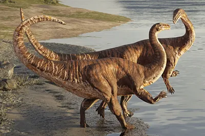 Когда и почему вымерли динозавры и как они жили, факты | РБК Тренды