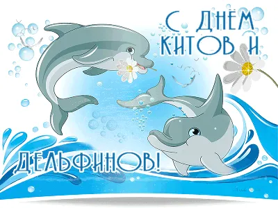 О Дне китов и дельфинов | Детский сад №11 «Сказка»