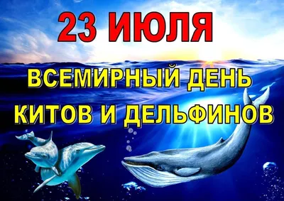 Всемирный день китов и дельфинов | Пикабу