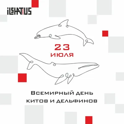 Всемирный день китов и дельфинов (ВИДЕО) — Киноконцертный Досуговый Центр  \"ГЕЙЗЕР\"