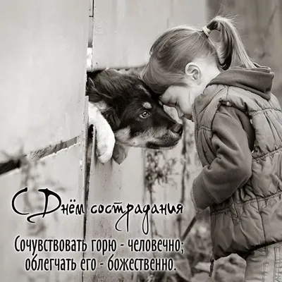 28 ноября — Всемирный день сострадания / Открытка дня / Журнал Calend.ru